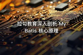拉勾教育深入剖析 MyBatis 核心原理 - getfromcode