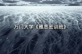 万门大学《雅思密训班》