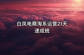 白凤电商淘系运营21天速成班