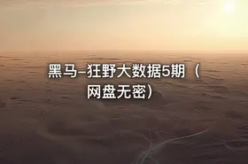黑马-狂野大数据5期（网盘无密）