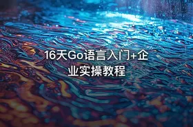 16天Go语言入门+企业实操教程