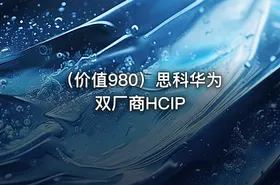 （价值980）思科华为双厂商HCIP