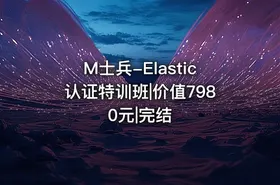 M士兵-Elastic认证特训班|价值7980元|完结