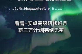 看雪-安卓高级研修班月薪三万计划|完结无密