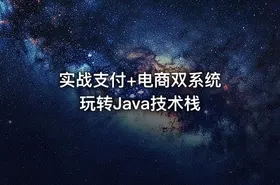 实战支付+电商双系统 玩转Java技术栈
