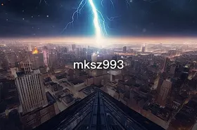 mksz993