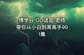 博学谷 GO语言 老师带你从小白到高高手991集