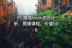 PC微信hook逆向分析，视频课程，价值599 - getfromcode