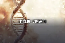 小肩膀-7期逆向