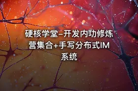 硬核学堂-开发内功修炼营集合+手写分布式IM系统