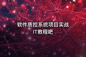 软件质控系统项目实战 IT教程吧