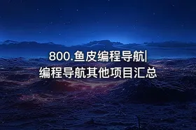 800.鱼皮编程导航|编程导航其他项目汇总 - getfromcode