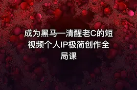 成为黑马—清醒老C的短视频个人IP极简创作全局课 - getfromcode