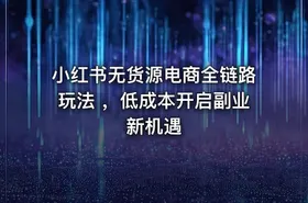小红书无货源电商全链路玩法 ，低成本开启副业新机遇