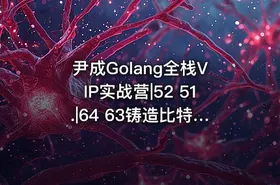 尹成Golang全栈VIP实战营|52 51.|64 63铸造比特币公链技术 - getfromcode