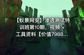 【蚁景网安】渗透测试特训班第10期，视频 +工具资料【价值7988】