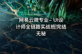 网易云微专业- UI设计师全链路实战班|完结无秘