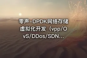 零声-DPDK网络存储虚拟化开发（vpp/OvS/DDos/SDN/NFV/SPDK） - getfromcode