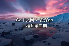 Go中文网 ：资深go工程师第二期