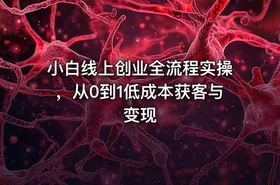 小白线上创业全流程实操，从0到1低成本获客与变现