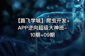 【路飞学城】爬虫开发+APP逆向超级大神班-10期+09期