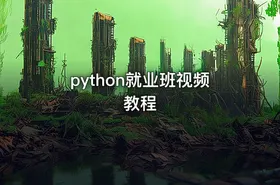 python就业班视频教程