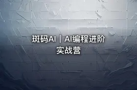 斑码AI｜AI编程进阶实战营 - getfromcode