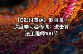 【B站付费课】耿直哥–深度学习必修课：进击算法工程师100节 - getfromcode