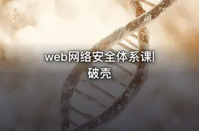 web网络安全体系课|破壳