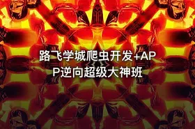 路飞学城爬虫开发+APP逆向超级大神班 - getfromcode