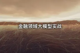 金融领域大模型实战