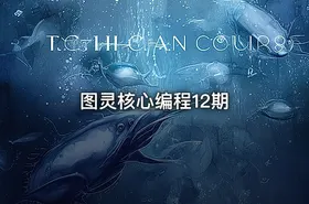 图灵核心编程12期