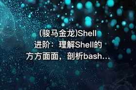 (骏马金龙)Shell进阶：理解Shell的方方面面，剖析bash解释器原理