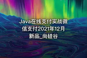 Java在线支付实战微信支付2021年12月新品_尚硅谷
