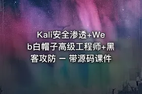 Kali安全渗透+Web白帽子高级工程师+黑客攻防 – 带源码课件 - getfromcode