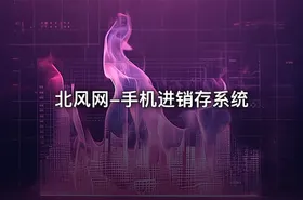 北风网-手机进销存系统 - getfromcode
