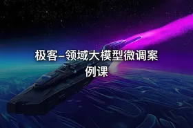 极客-领域大模型微调案例课