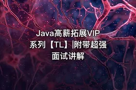 Java高薪拓展VIP系列【TL】|附带超强面试讲解