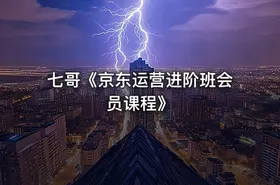 七哥《京东运营进阶班会员课程》