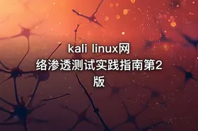 kali linux网络渗透测试实践指南第2版