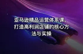 亚马逊精品运营体系课，打造高利润店铺的核心方法与实操