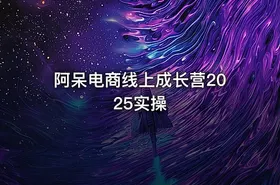 阿呆电商线上成长营2025实操