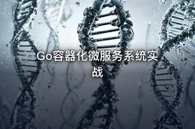 Go容器化微服务系统实战