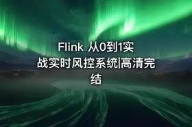Flink 从0到1实战实时风控系统|高清完结