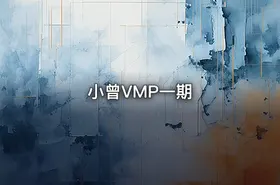 小曾VMP一期