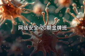 网络安全 20期金牌班