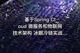 基于Spring Cloud 微服务和物联网技术架构 冰眼冷链实战项目（资料完整）