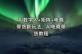 AI数字人+矩阵+电商带货新玩法，AI电商带货教程 - getfromcode