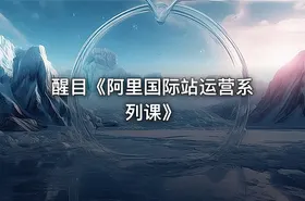 醒目《阿里国际站运营系列课》 - getfromcode