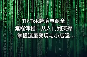 TikTok跨境电商全流程课程：从入门到实操，掌握流量变现与小店运营